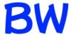 株式会社BlueWorkers